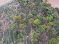 Figure 3 : Projet éolien : utilisation d’un drone pour recherche de dolines.