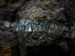 filon centimétrique de chrysotile dans des péridotites serpentinisées